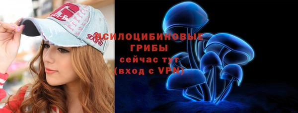 спайс Аркадак