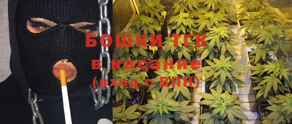 прущие крисы Корсаков