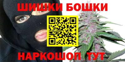 твердый Бийск