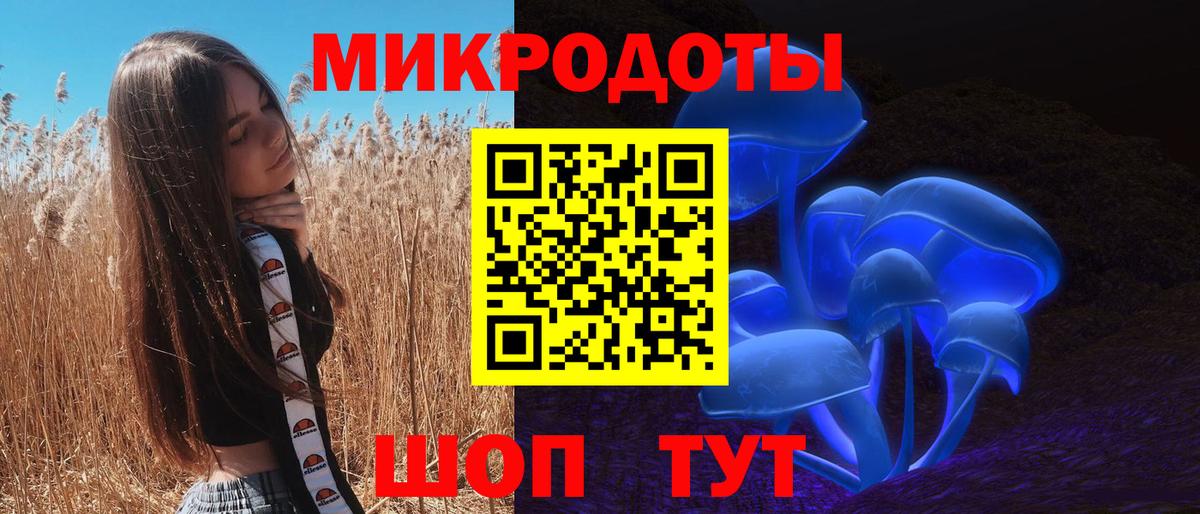 Галлюциногенные грибы Magic Shrooms  Галлюциногенные грибы Psilocybe  Вход с VPN  Волгодонск 