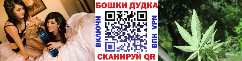 закладка  Волгодонск  Конопля план 